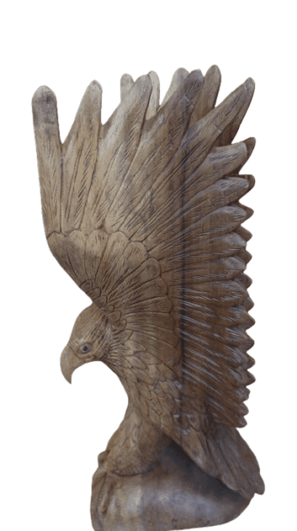Scultura Aquila in Legno di Suar 50 cm – Realizzata a Mano in Indonesia - 4