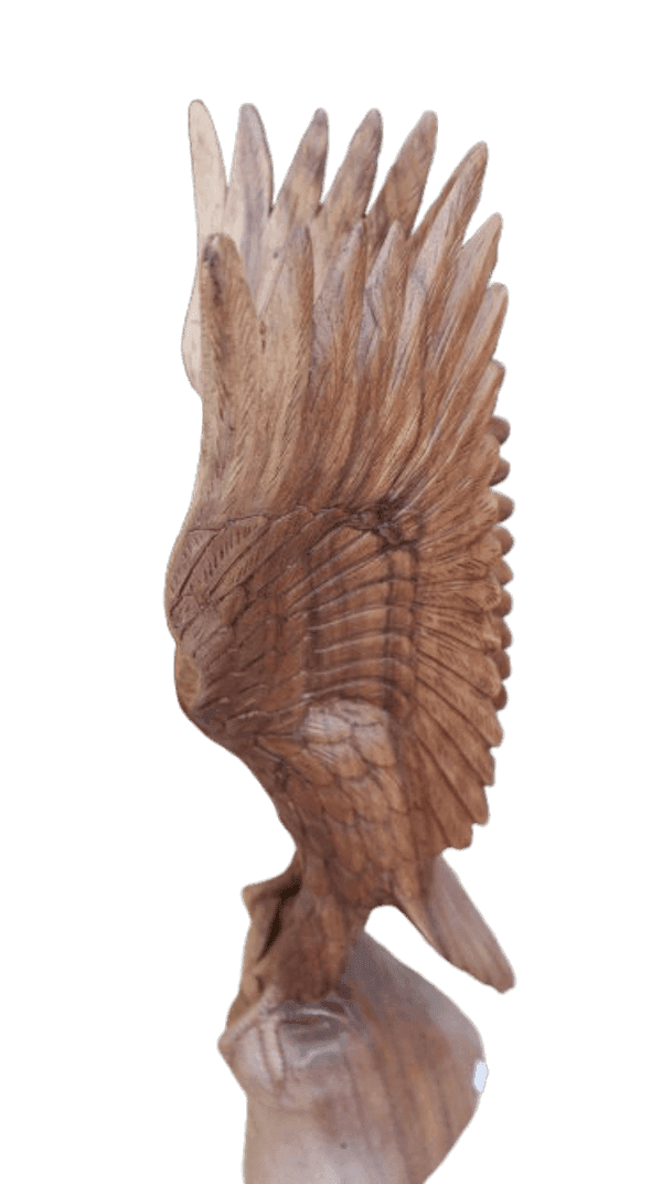Scultura Aquila in Legno di Suar 52 cm – Realizzata a Mano in Indonesia - 4