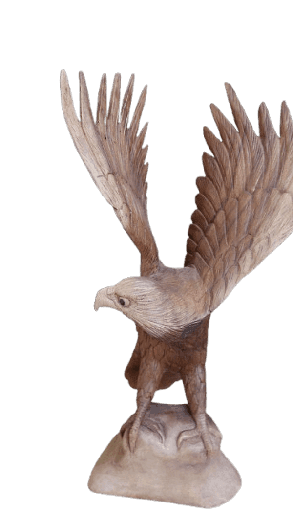 Scultura Aquila in Legno di Suar 52 cm – Realizzata a Mano in Indonesia - 5