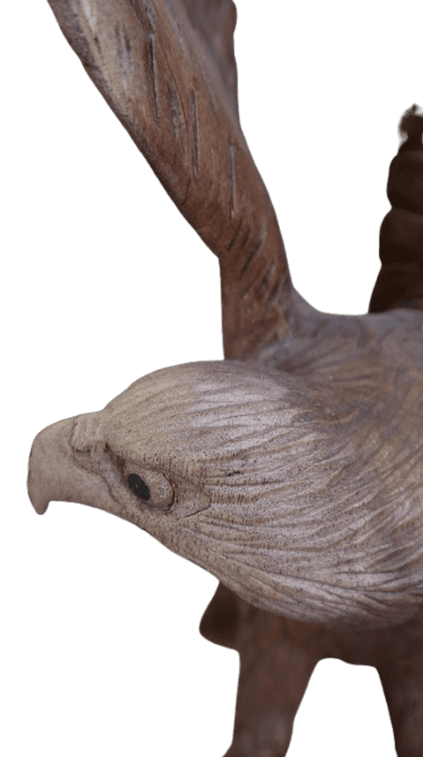 Scultura Aquila in Legno di Suar 52 cm – Realizzata a Mano in Indonesia - 6