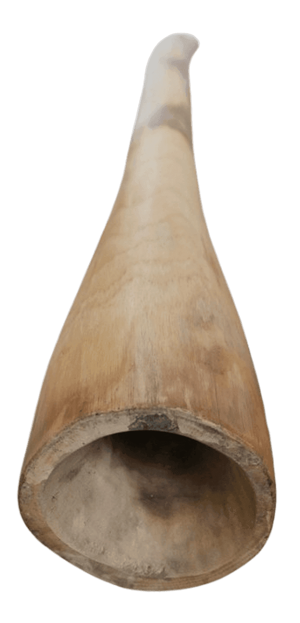 Didgeridoo in teak 150 cm scolpito a mano – Indonesia  tipo Australiano Artigianato Bali , Suono Autentico - 6