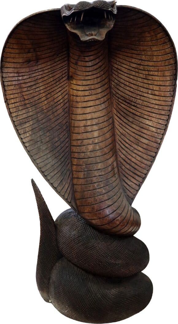 Statua Cobra in Legno di Teak Intagliato a Mano – Scultura Esotica Artigianale 72 cm – Realizzata in Indonesia - 2