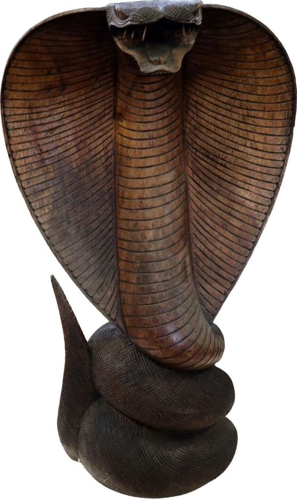 Statua Cobra in Legno di Teak Intagliato a Mano – Scultura Esotica Artigianale 72 cm – Realizzata in Indonesia - 3