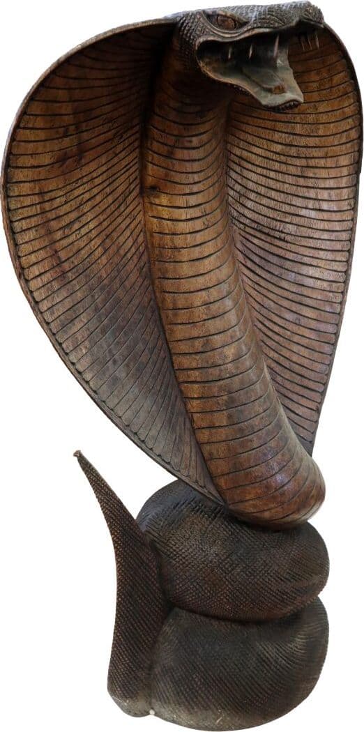 Statua Cobra in Legno di Teak Intagliato a Mano – Scultura Esotica Artigianale 72 cm – Realizzata in Indonesia - 4