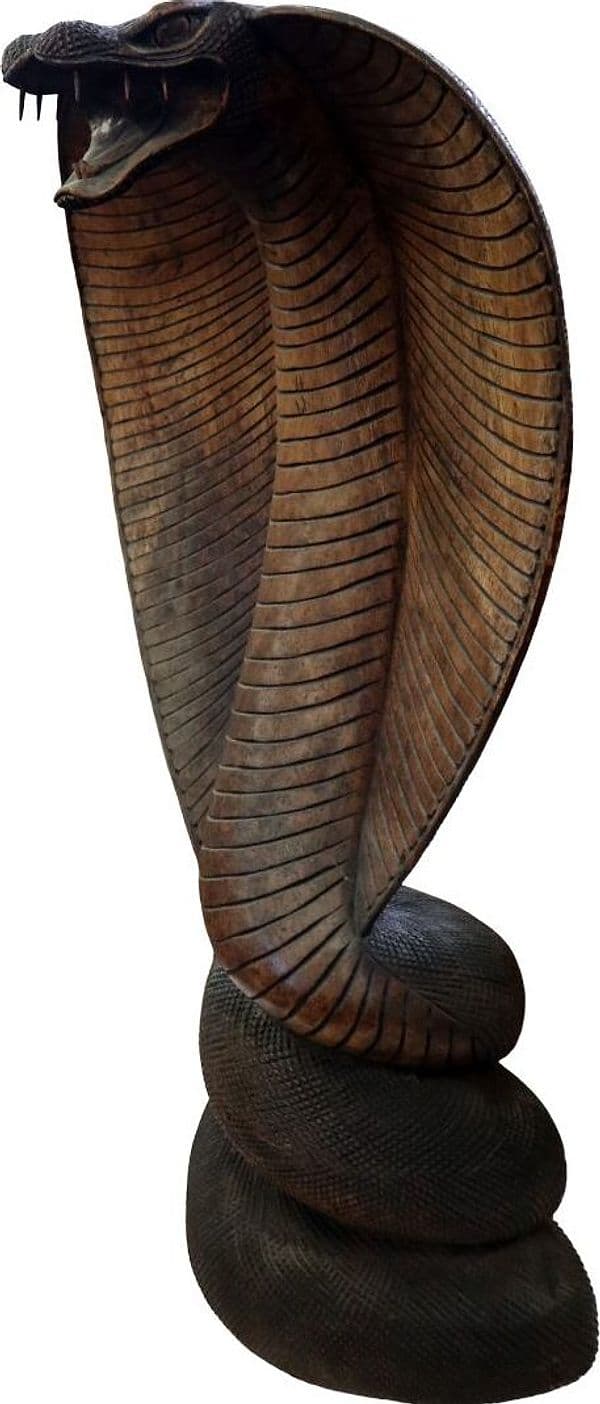 Statua Cobra in Legno di Teak Intagliato a Mano – Scultura Esotica Artigianale 72 cm – Realizzata in Indonesia - 5