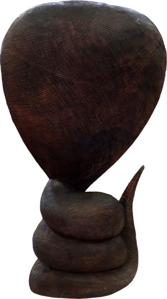 Statua Cobra in Legno di Teak Intagliato a Mano – Scultura Esotica Artigianale 72 cm – Realizzata in Indonesia - 7