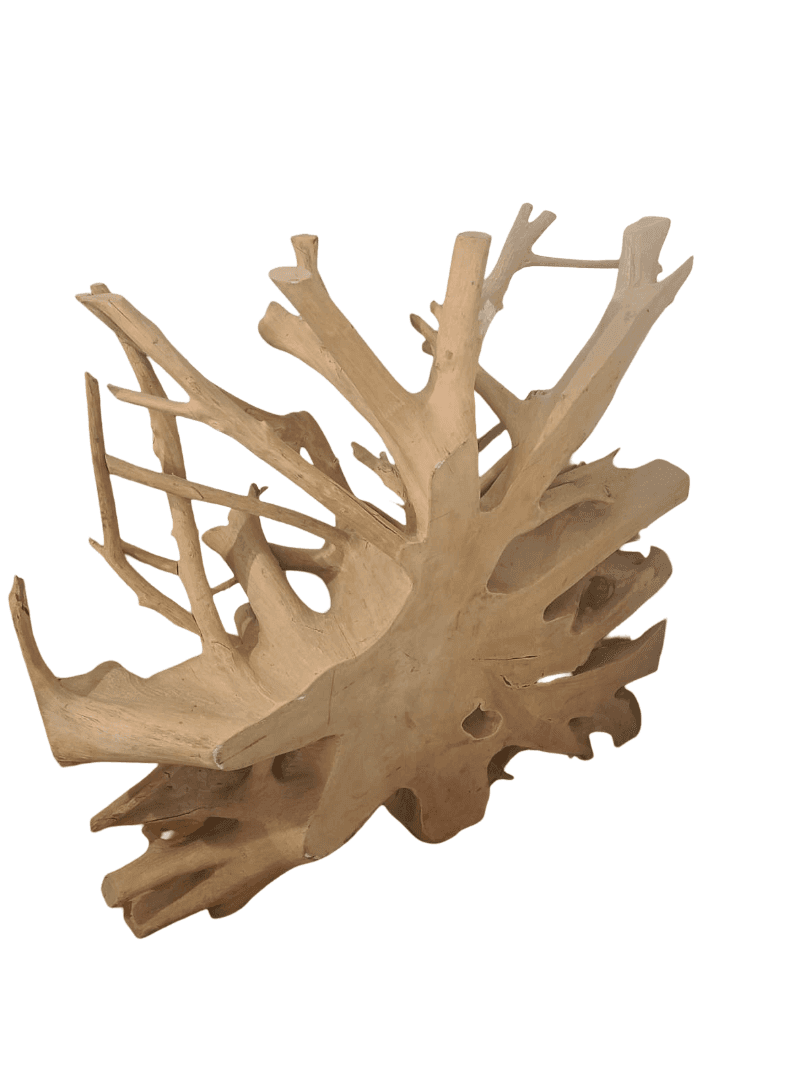 Radice in Teak Indonesiano Naturale – Tavolo Basso o Consolle  – 114x144x29 cm – Pezzo Unico Realizzato a Mano - 3