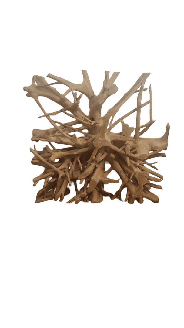 Radice in Teak Indonesiano Naturale – Tavolo Basso o Consolle  – 114x144x29 cm – Pezzo Unico Realizzato a Mano - 6