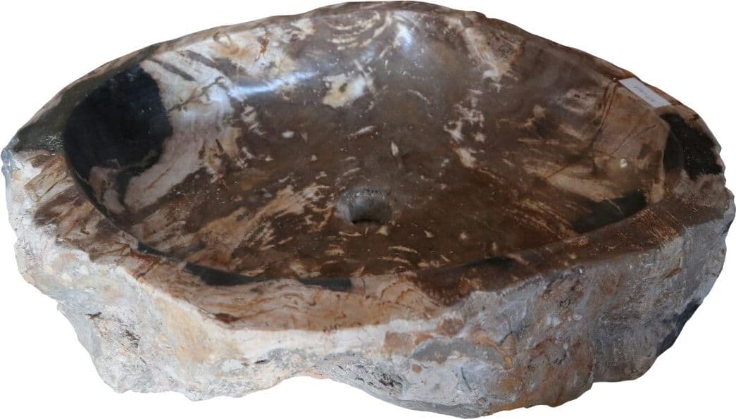 Lavandino in Pietra Fossile Naturale | Legno Fossilizzato 57x50x15 cm | Design Unico dal Fascino Naturale – Amicasaidee - 3