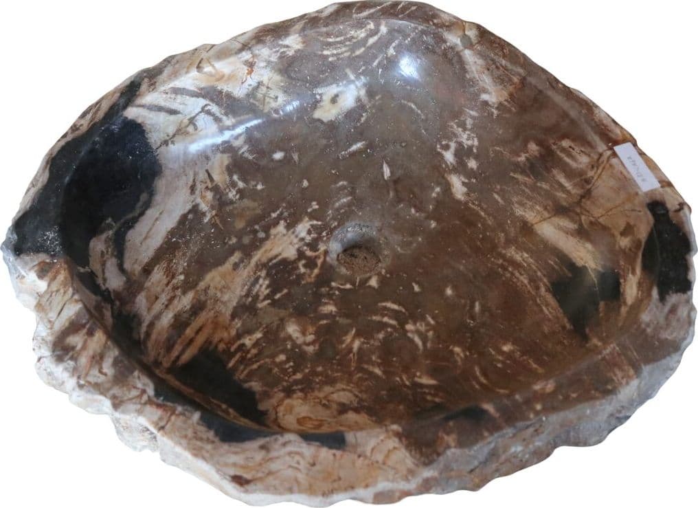 Lavandino in Pietra Fossile Naturale | Legno Fossilizzato 57x50x15 cm | Design Unico dal Fascino Naturale – Amicasaidee - 4