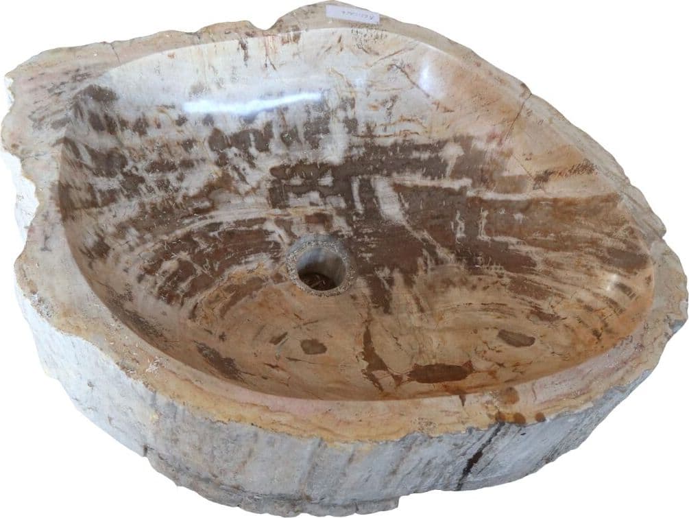 Lavabo in Legno Fossilizzato Indonesiano – Lavandino in Pietra Fossile Naturale 60x40x15 cm - 4