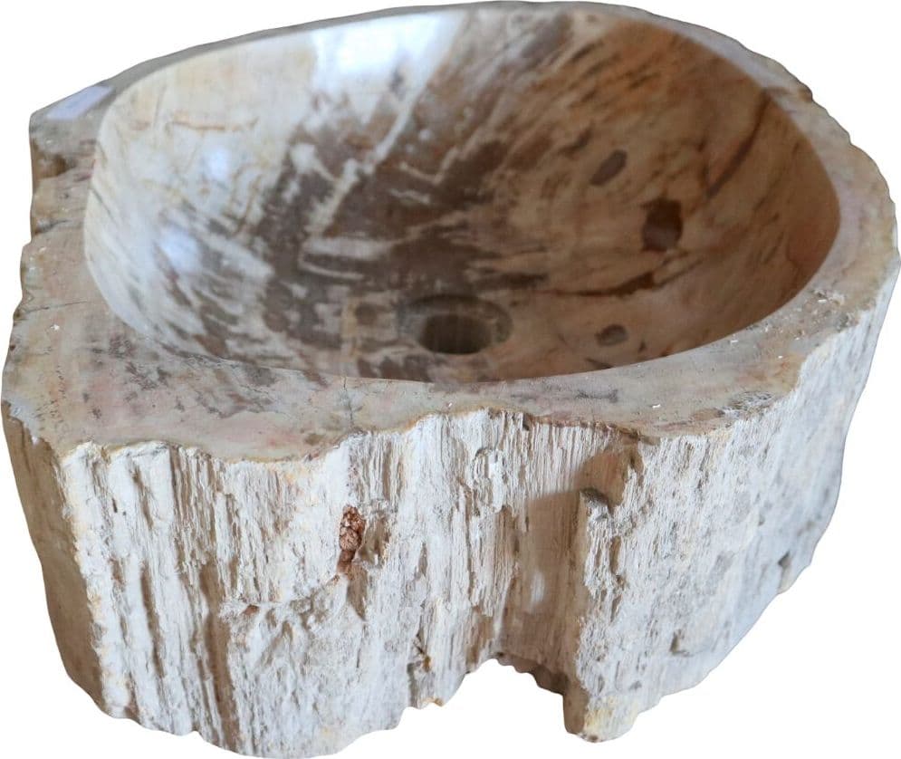 Lavabo in Legno Fossilizzato Indonesiano – Lavandino in Pietra Fossile Naturale 60x40x15 cm - 5