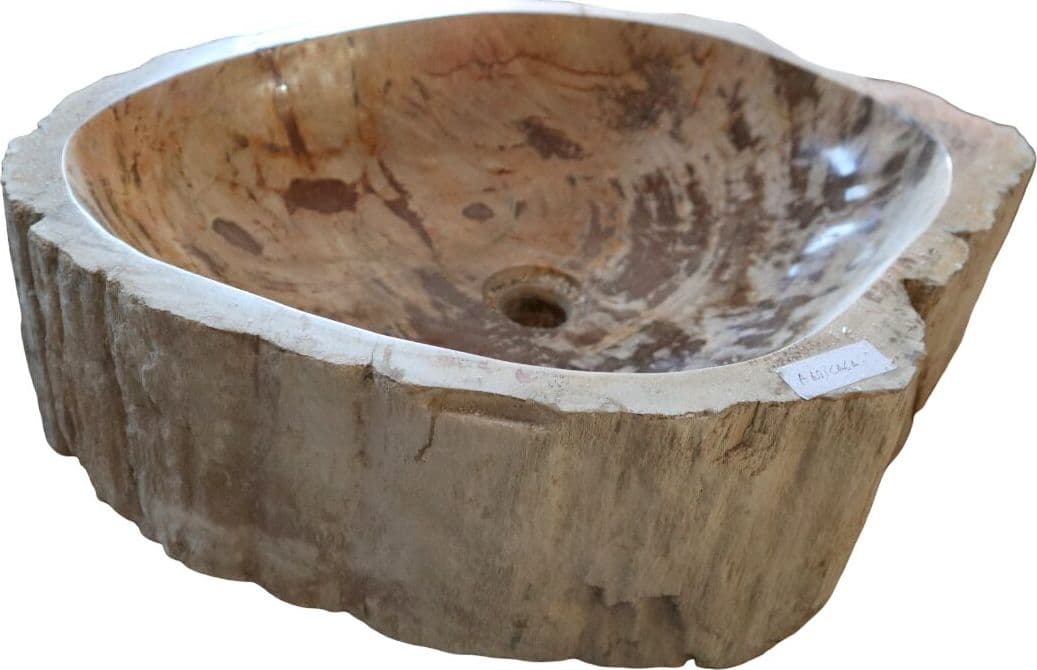Lavabo in Legno Fossilizzato Indonesiano – Lavandino in Pietra Fossile Naturale 60x40x15 cm - 7
