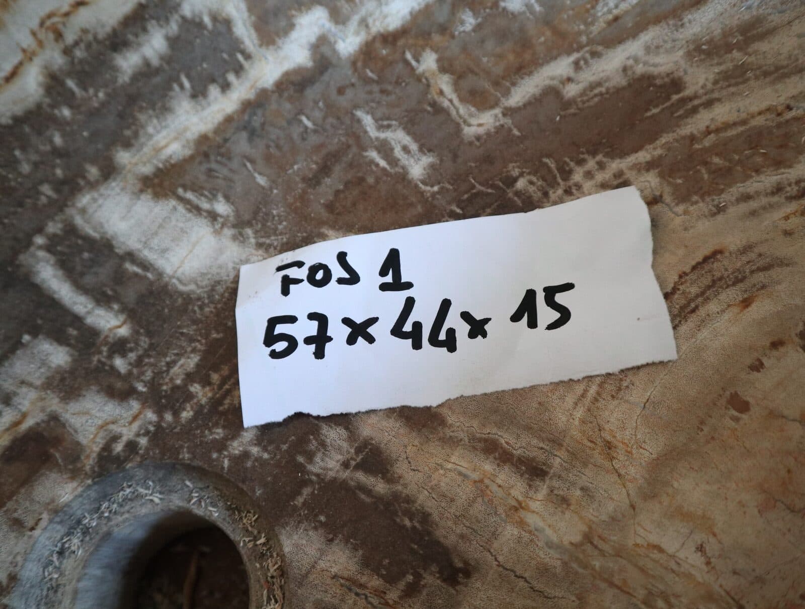 Lavabo in Legno Fossilizzato Indonesiano – Lavandino in Pietra Fossile Naturale 60x40x15 cm - 8