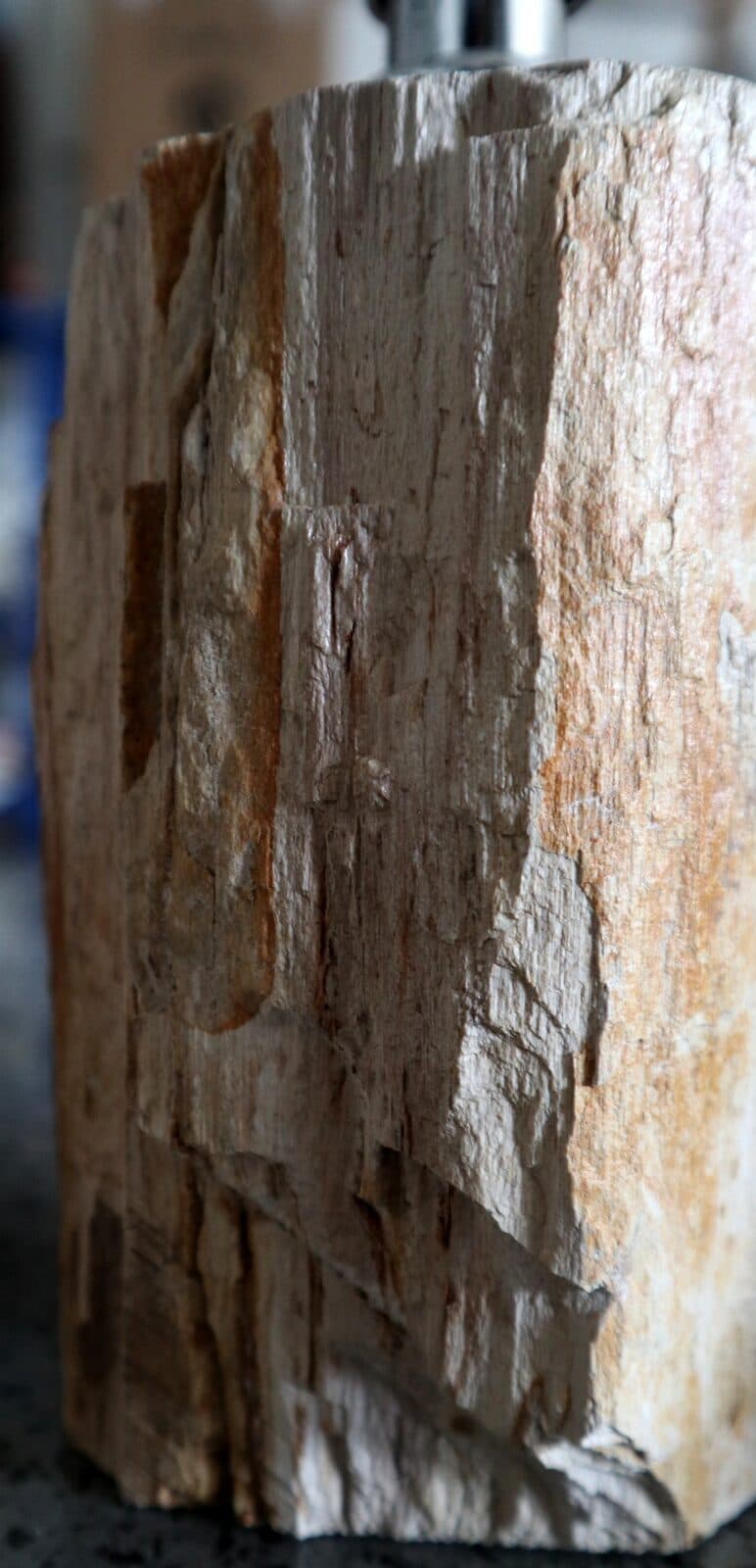 Dispenser in pietra legno fossile fossilizzato cm 10x9x20 arredo bagno accessorio - 9