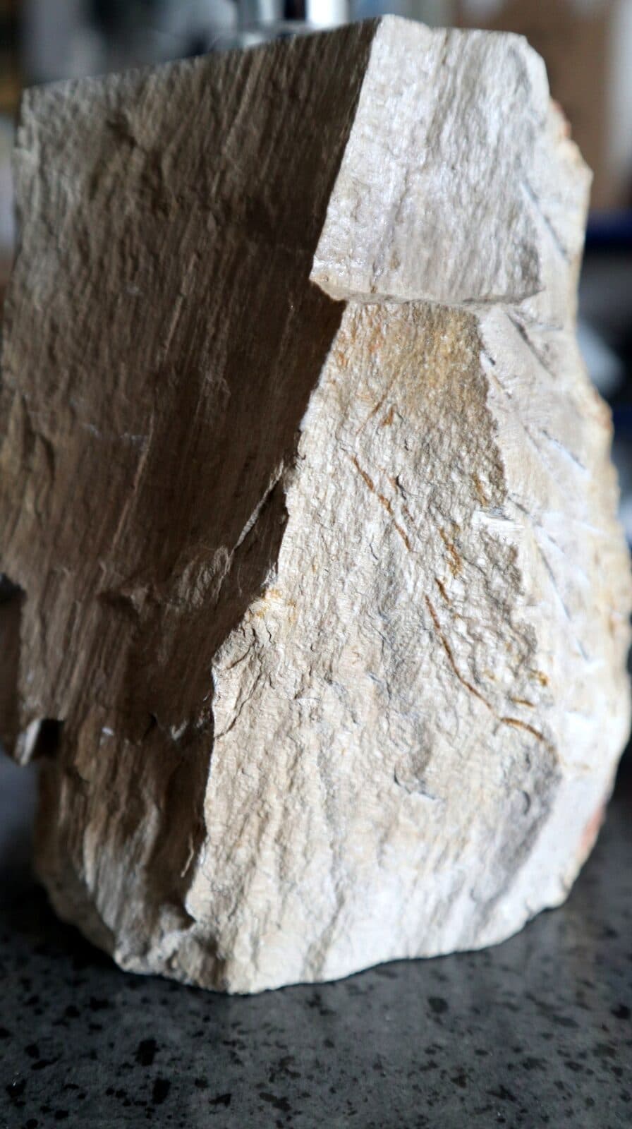 Dispenser in pietra legno fossile fossilizzato cm 10x9x20 arredo bagno accessorio - 10