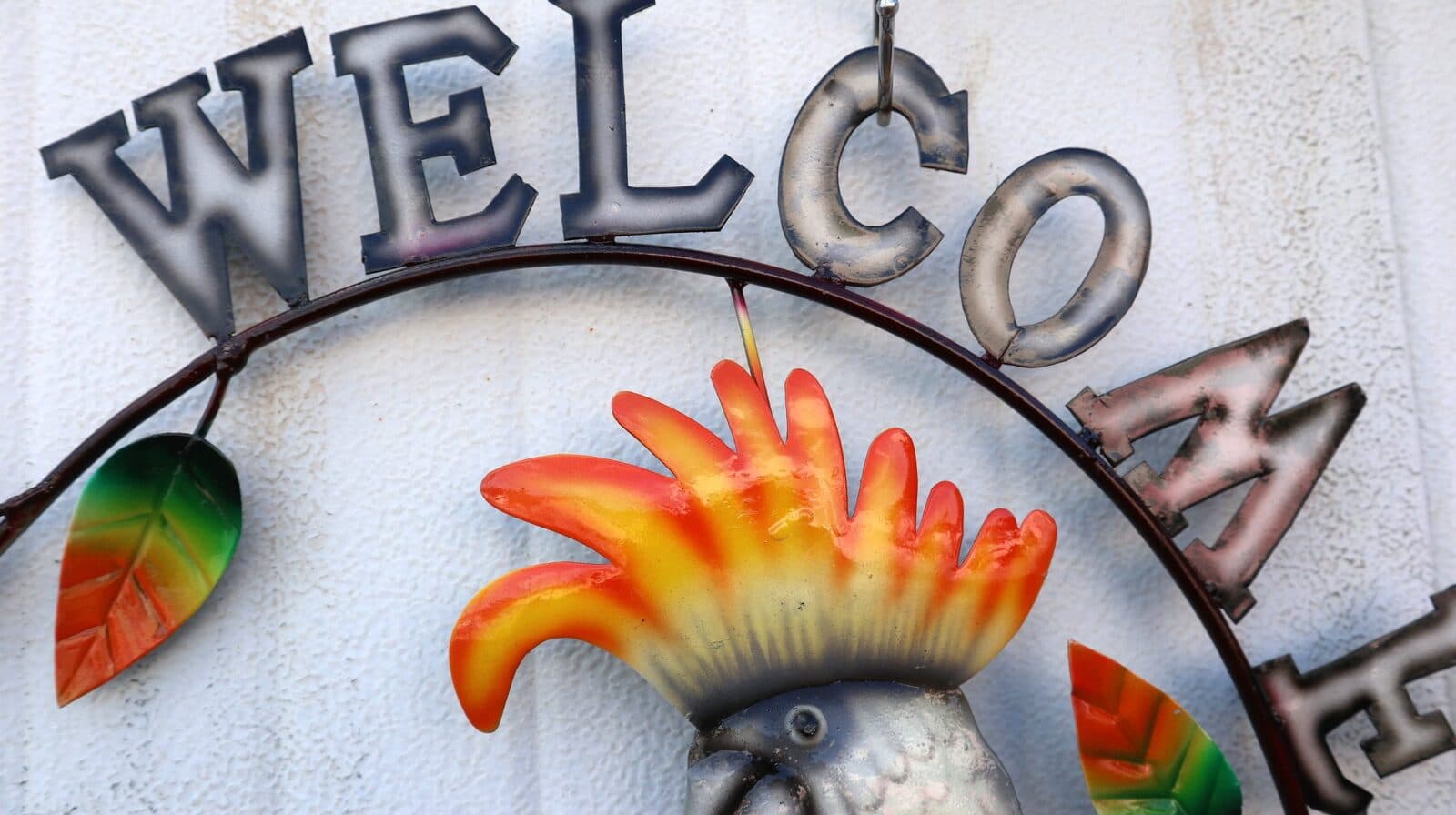 Pannello  welcome con un pappagallo Calopsitta  in metallo creata e colorata mano cm 54x45 dipinte realizzate artigianalmente - 3
