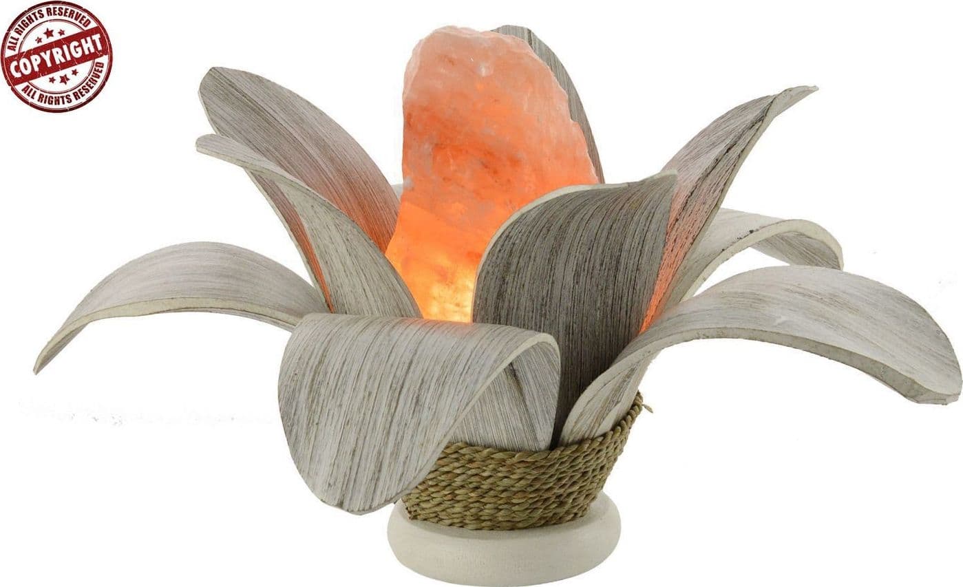 Lampada Margherita in Foglie di Cocco e Sale Himalayano Originale – Lampada Artigianale Indonesiana Naturale - 3
