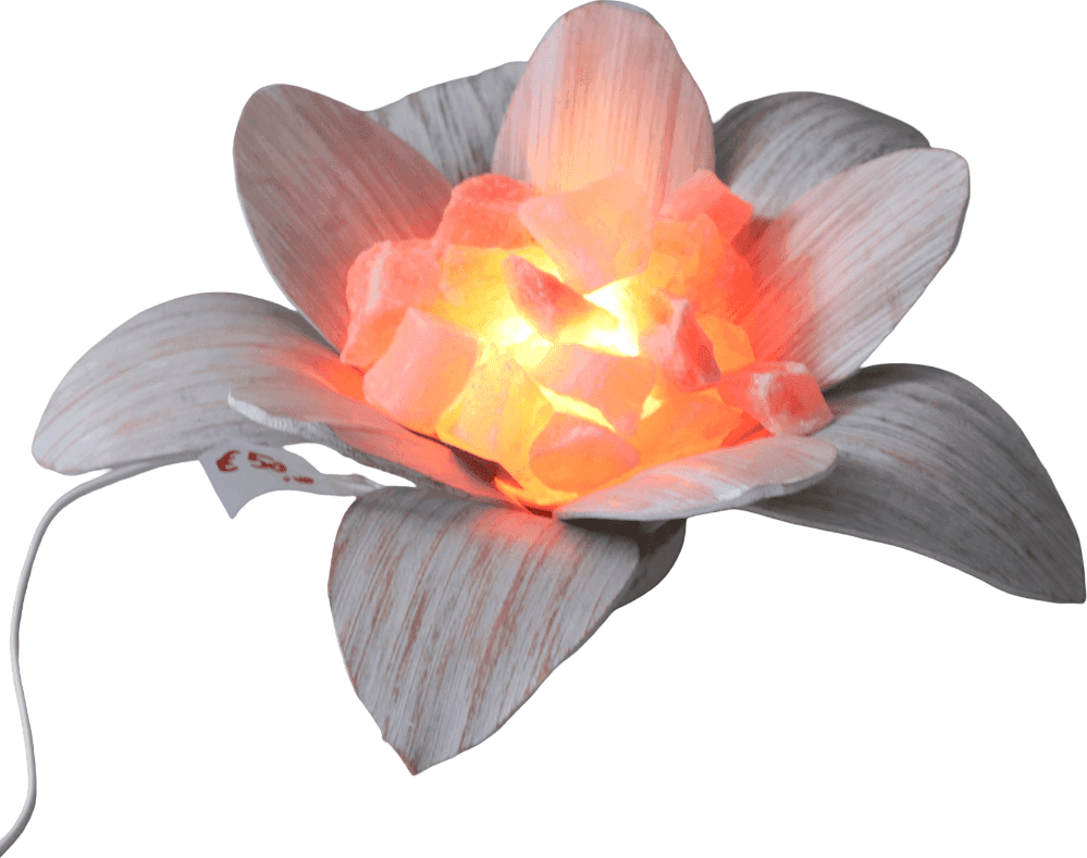 🌿 LAMPADA DI SALE A FORMA DI FIORE – FOGLIE DI COCCO SBIANCATE – HANDMADE BALI - 2