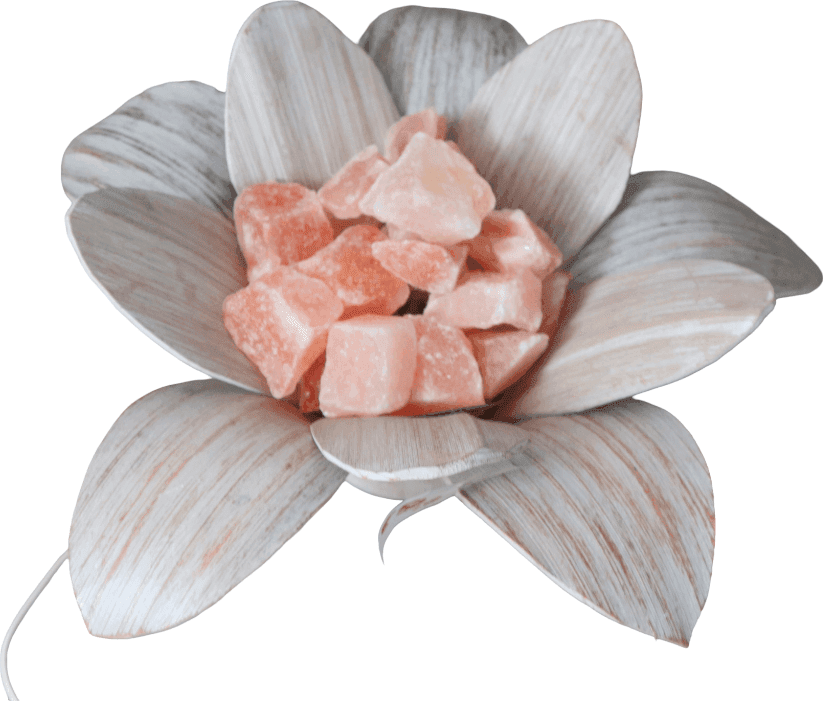 🌿 LAMPADA DI SALE A FORMA DI FIORE – FOGLIE DI COCCO SBIANCATE – HANDMADE BALI - 7