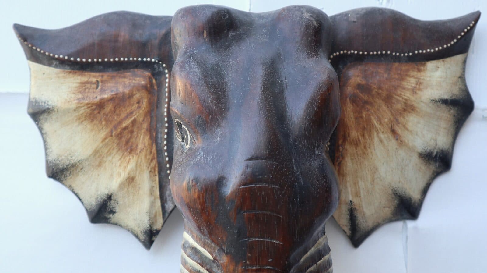 Testa in legno di Elefante sacro Induista cm 40x37x20h Budda - 5