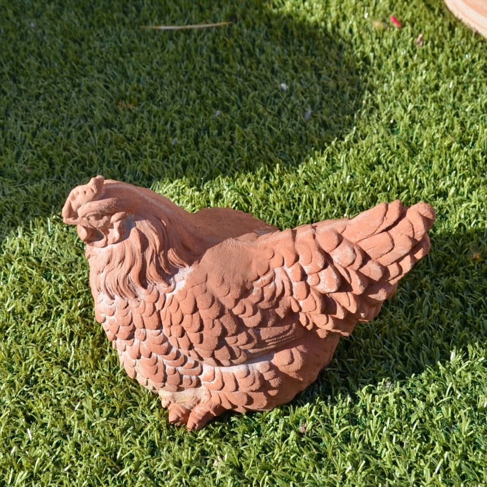 Gallina H.16 - 2
