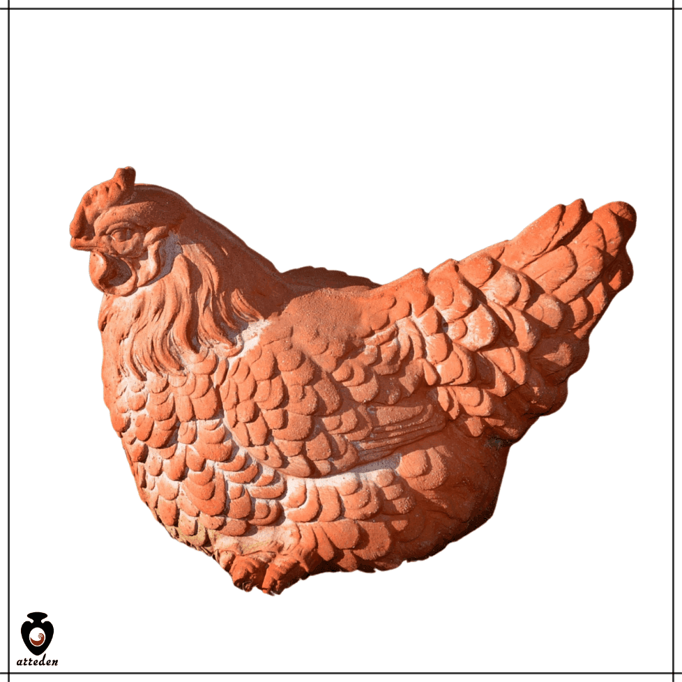 Gallina H.16 - 3