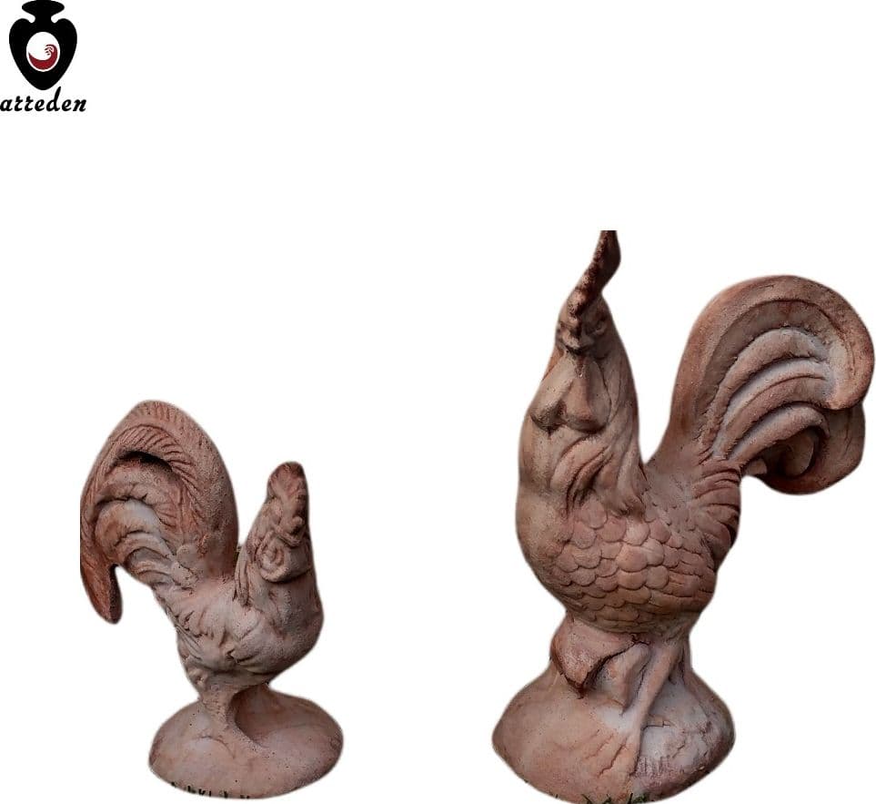 Gallo - 4