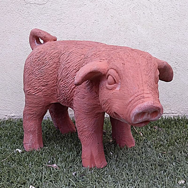 Maialino h 30 - 2