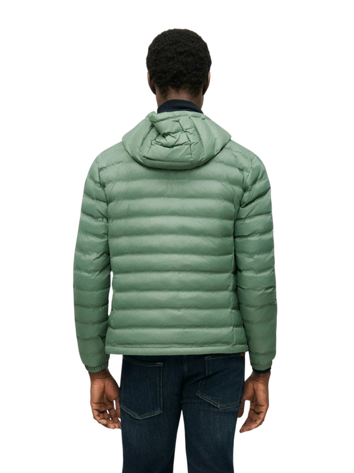 Blauer giubbini uomo blauer - charles - verde - 2