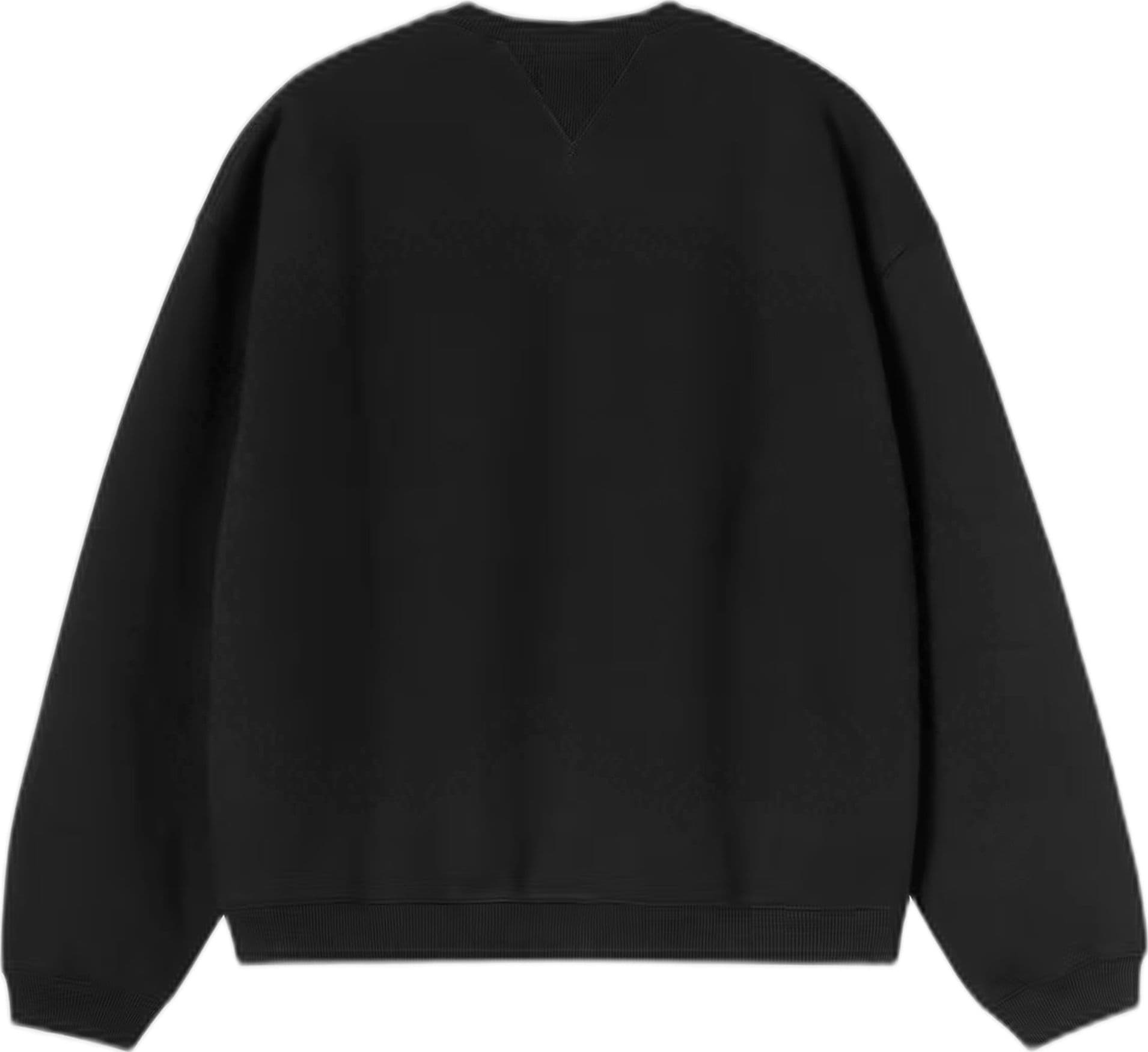 CARHARTT WIP felpa carhartt wip ebbert sweat - black / white - 5