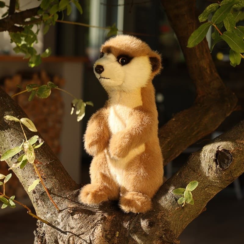 Rappa - Peluche realistico mascotte suricato in piedi 23 cm Collezione morbida ed ecologica - 12