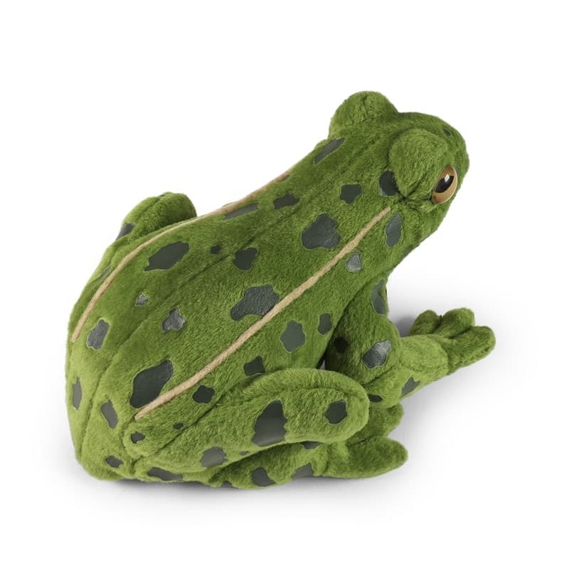 Rappa - Peluche realistico rana verde peluche 19 cm Eco-Friendly - 4