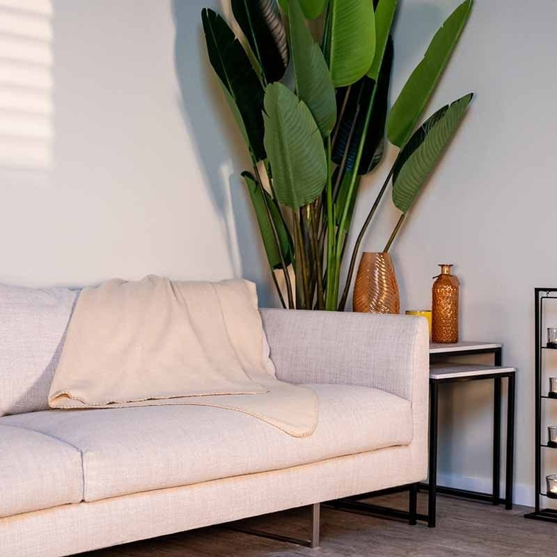 Fleece blanket 170x130 (Cream) - 5