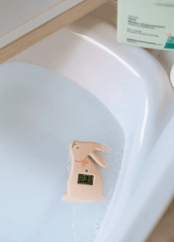 Suavinex - Termometro da Bagno Wonderland Assortito 1pz - 2