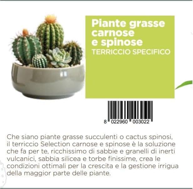 Greenview Terriccio per Cactacee CACTEA Per piante grasse e succulente 5 LT - 3