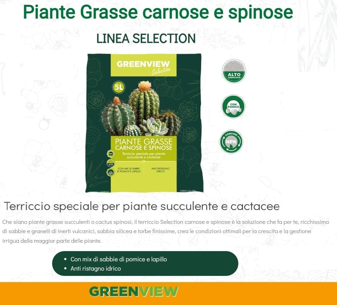 Greenview Terriccio per Cactacee CACTEA Per piante grasse e succulente 5 LT - 4