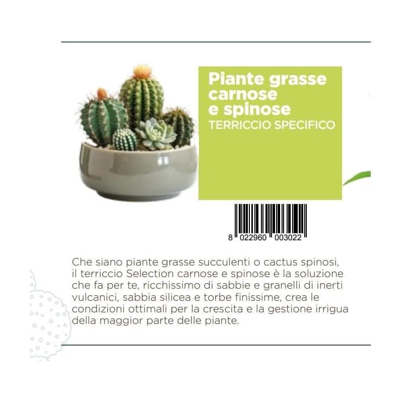 Greenview Terriccio per Cactacee CACTEA Per piante grasse e succulente 5 LT - 6