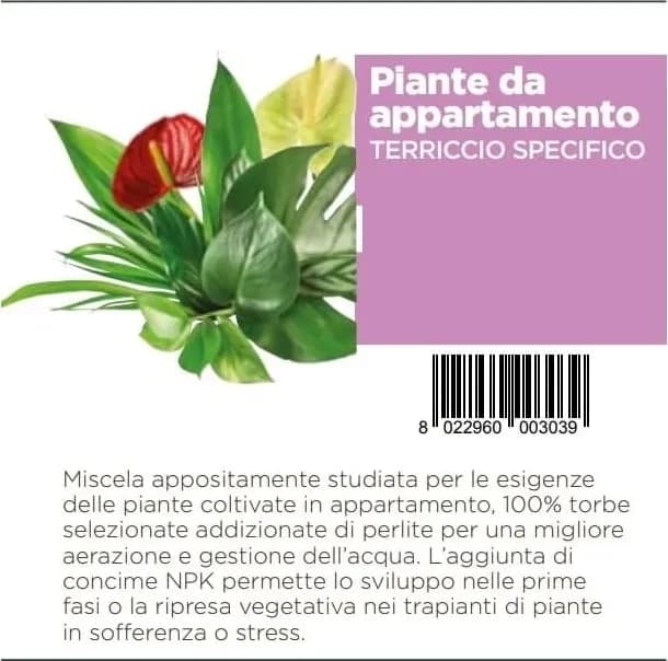 Greenview Terriccio di alta Qualità Specifico per le piante d'appartamento-5LT - 3