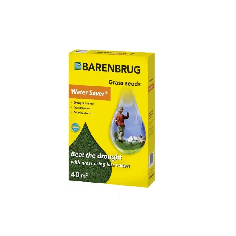 Semi per il prato 1 kg Barenbrug water saver  Resistenti a Caldo e Siccità - 2