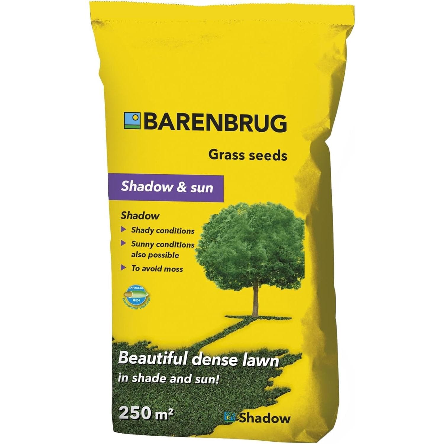 Barenbrug Shadow - Erba all'ombra 5 kg Semi di erba per aree ombreggiate 250mq - 2