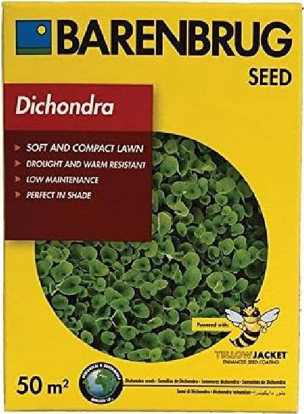 BARENBRUG SEMENTI PRATO DICHONDRA perenne  Prato compatto soffice  500G - 2