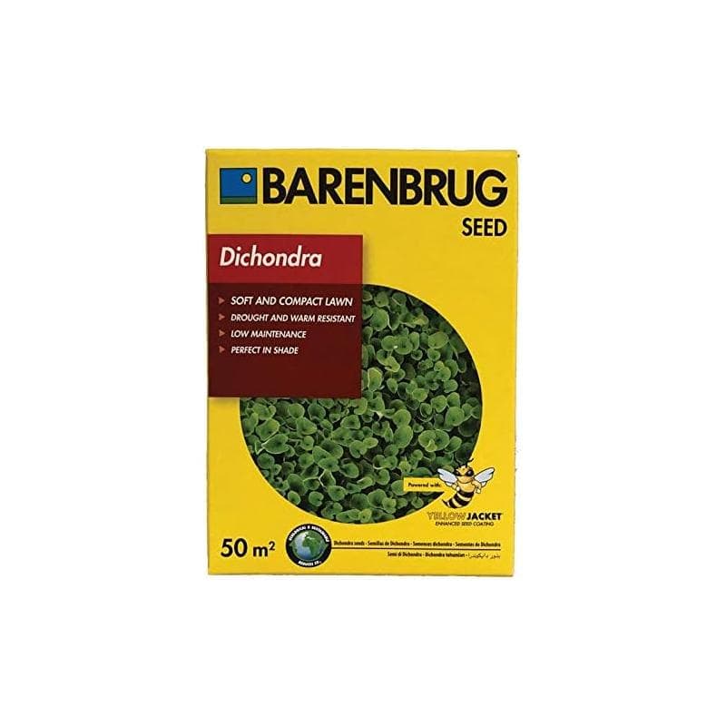BARENBRUG SEMENTI PRATO DICHONDRA perenne  Prato compatto soffice  500G - 3