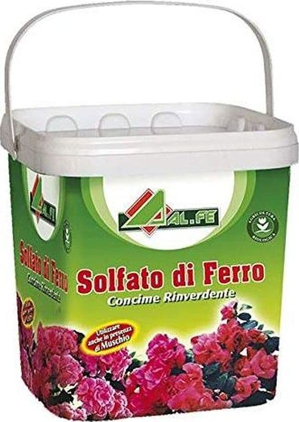 SOLFATO DI FERRO GRANULARE ANTIMUSCHIO 5 KG RINVERDENTE CONCIME PER PRATO PROMO - 2