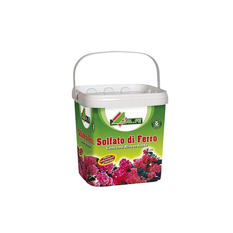 SOLFATO DI FERRO GRANULARE ANTIMUSCHIO 5 KG RINVERDENTE CONCIME PER PRATO PROMO - 3
