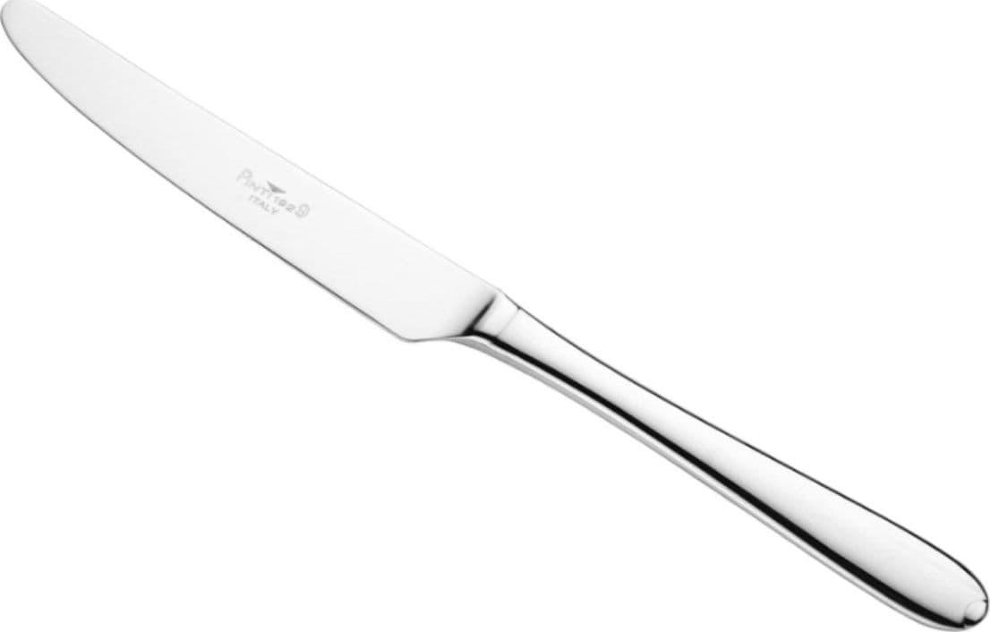 PINTINOX - CONFEZIONE DA 12 PEZZI - COLTELLO DA TAVOLA "PALLADIUM" 23,6CM - IN ACCIAIO INOSSIDABILE in Coltelli da tavola Stockdoc - Terni, commercioVirtuoso.it