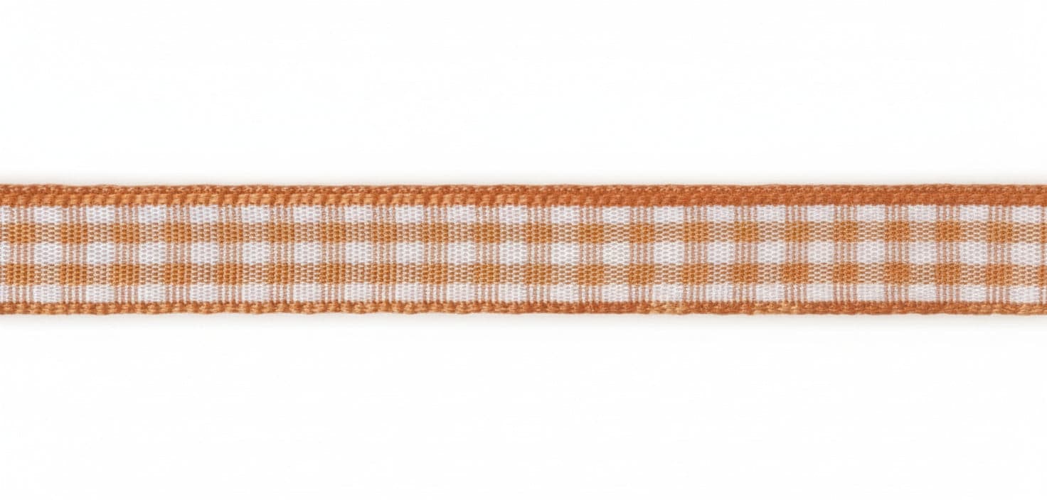 RAYHER - NASTRO DI RASO "ORGANZA" - COLORE ARANCIONE E BIANCO 9,5MMX10MT
