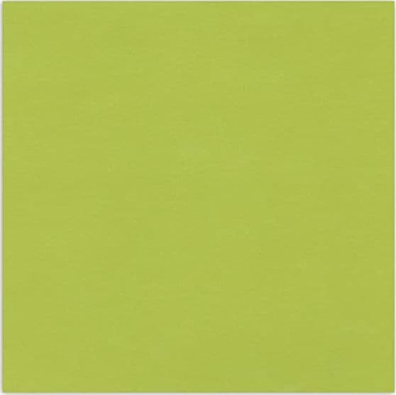 RAYHER - CARTA STRUTTURATA IN LINO "SCRAP&SAND" 30,5x30,5CM - COLORE VERDE LIME