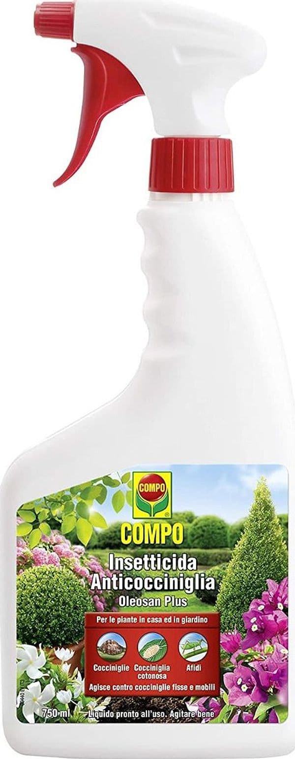 COMPO - 750ml - INSETTICIDA ANTICOCCINIGLIA SPRAY "OLEOSAN PLUS" ***