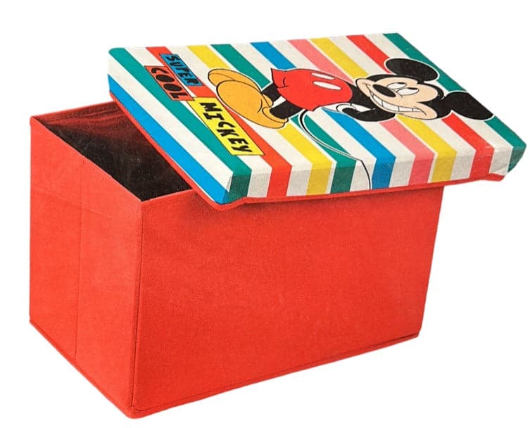 DOMOPAK - POUF CON COPERCHIO "LIVING" PER ORGANIZZAZIONE CAMERETTA 49x31x31CM - RAPPRESENTAZIONE CARTONE "CARS"- "FROZEN"- "ALLA RICERCA DI DORY"** in Portagiochi Stockdoc - Terni, commercioVirtuoso.it